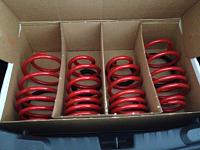 painted eibach springs