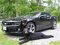 Black-on-Black '13 Camaro SS