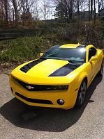 Bumblebee