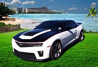 Mike's ZL1   "Texas"