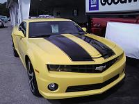 Bumblebee