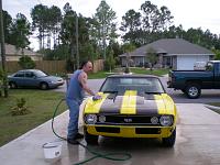 my 1967 camaro Bumble Bee