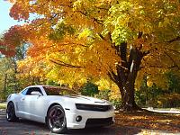 Fall pics