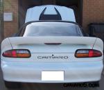 Rear.jpg