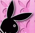 Black Bunny's Avatar