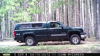 My silverado, with 200 watermelons in the back