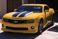 Bumblebee