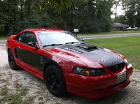 my mustang