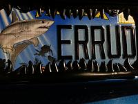 20150202 195203 resized 1 (1)