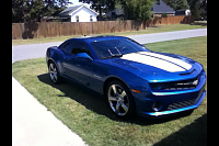 Just Brought her home