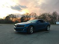 The Beauty of the Beast