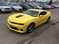 Bumblebee