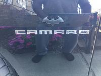 Bat-Symbol and Camaro Logos