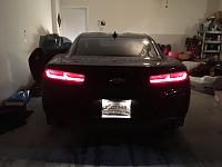 Stock tail lights