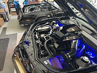 IMG 4286