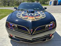 IMG 4279
