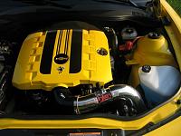 IMG 0316 (600 x 450)