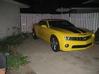 resting in the backyard
