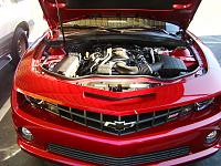 Engine Bay