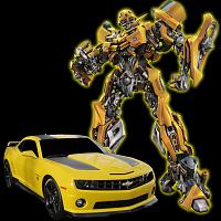 2012 Bumble Bee 2SS/RS