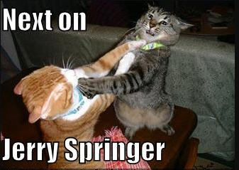 Name:  img1.jpg
Views: 1325
Size:  20.8 KB