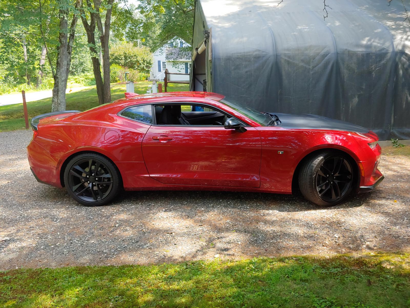 Name:  20190728_145912_HDR_resized.jpg
Views: 1371
Size:  382.1 KB