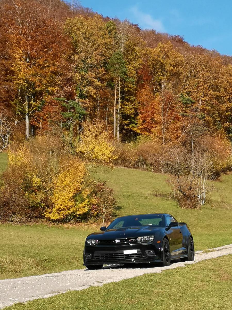 Name:  InkedIMG_20201030_142258_LI.jpg
Views: 727
Size:  308.9 KB