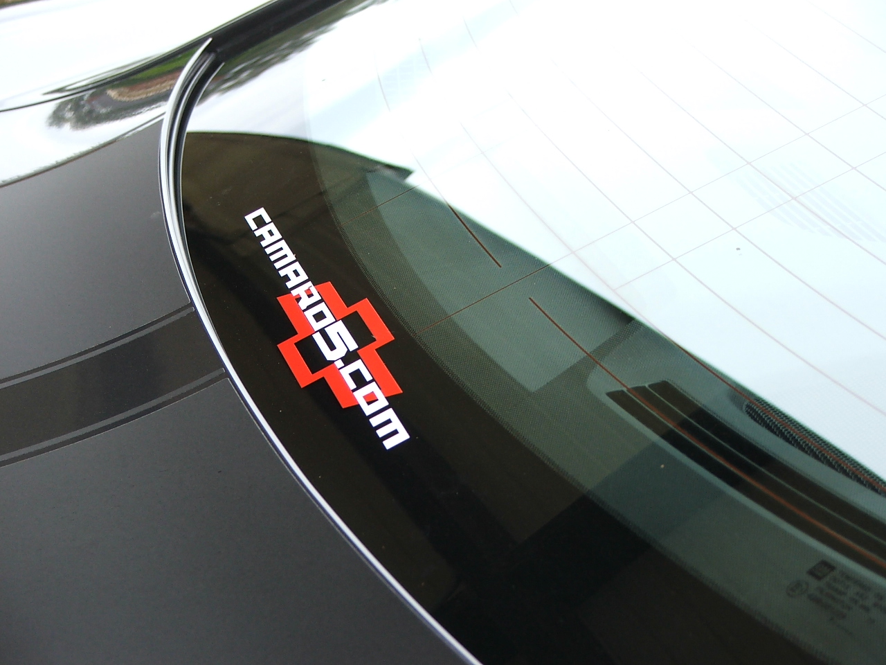 Name:  DSCF1526.JPG
Views: 724
Size:  438.4 KB