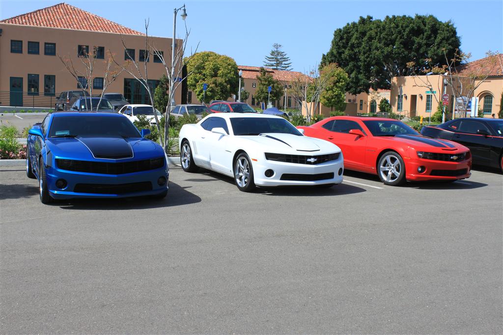 Name:  IMG_1194 (Custom).JPG
Views: 2838
Size:  141.6 KB