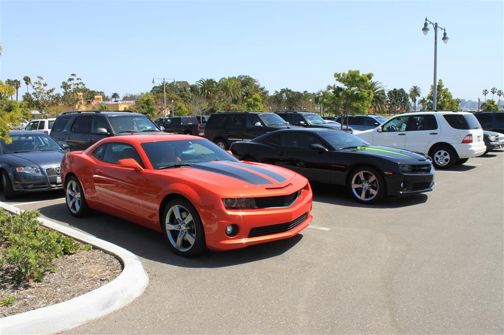 Name:  IMG_1226 (Custom).JPG
Views: 2794
Size:  129.0 KB