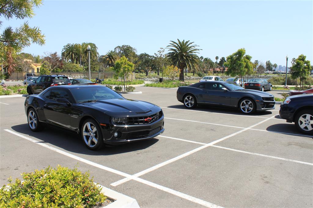 Name:  IMG_1235 (Custom).JPG
Views: 2815
Size:  146.4 KB