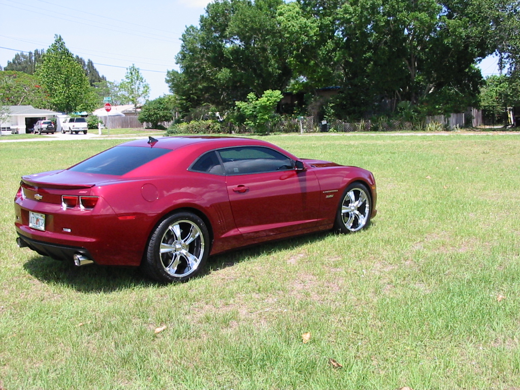 Name:  picnicshow013.jpg
Views: 230
Size:  577.6 KB