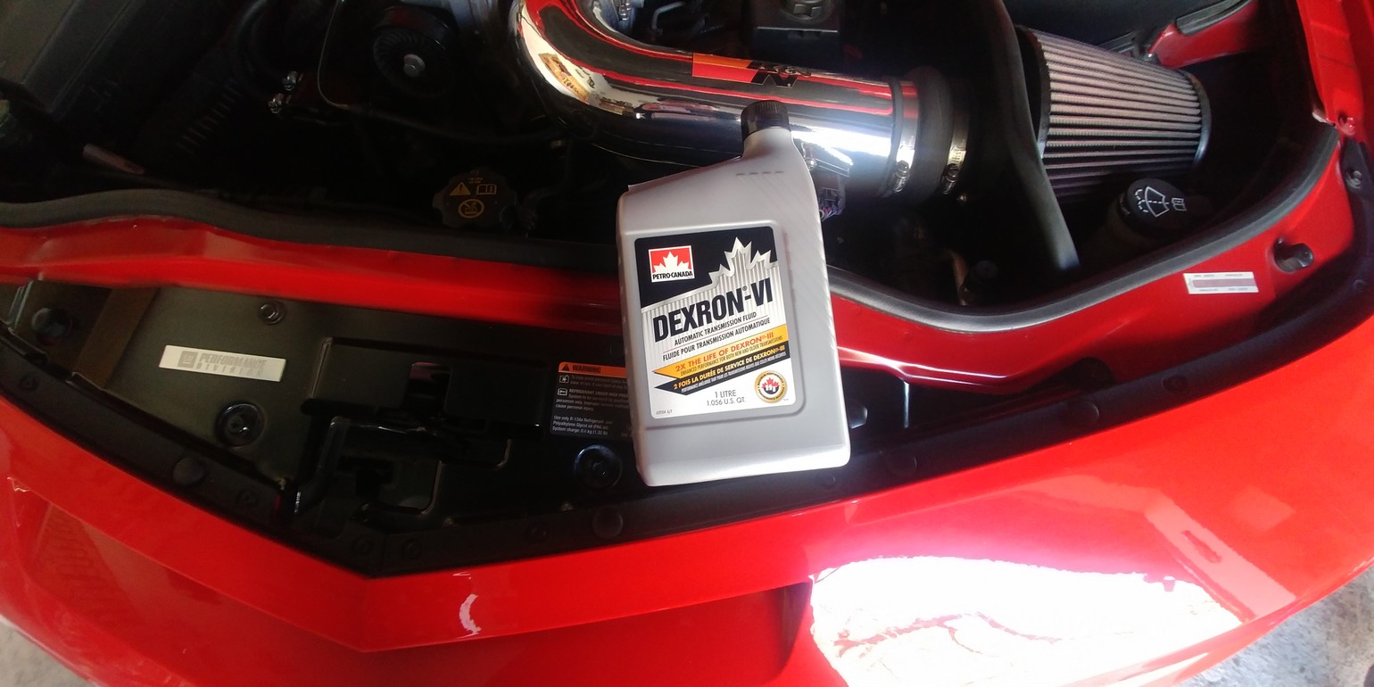 Name:  20220312_111146.jpg
Views: 265
Size:  208.3 KB