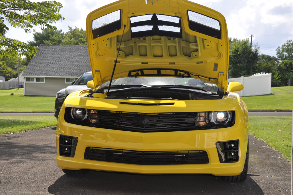 Name:  2021-07-10_DSC1496.JPG
Views: 3326
Size:  307.6 KB