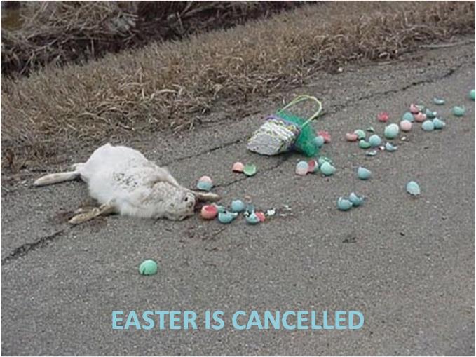 Name:  Easter is Cancelled.jpg
Views: 760
Size:  66.4 KB