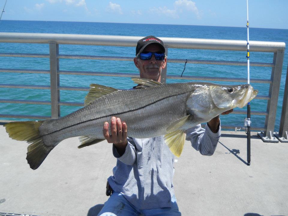 Name:  bigsnook.jpg
Views: 187
Size:  93.2 KB