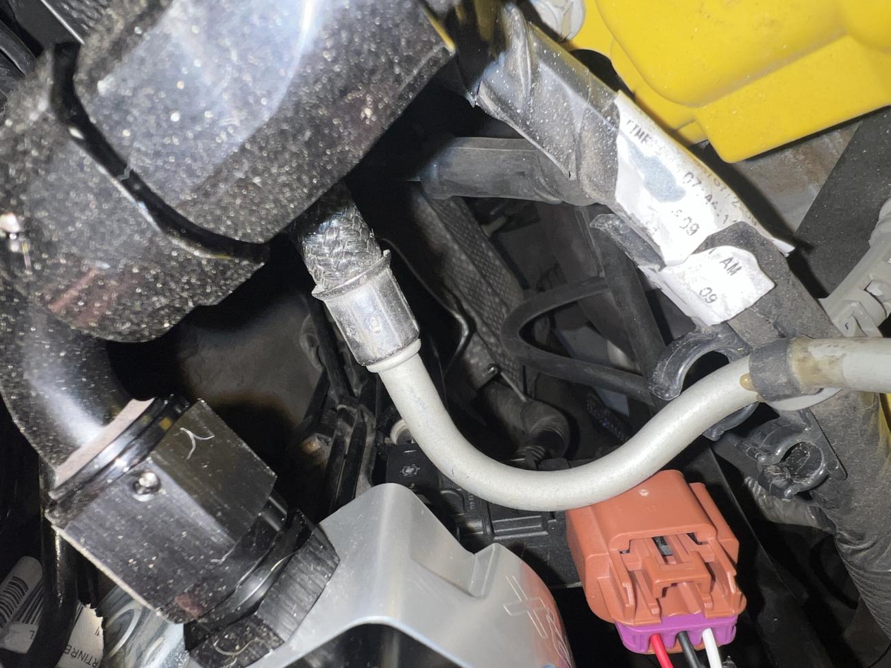 Name:  IMG_6765.jpg
Views: 546
Size:  171.5 KB