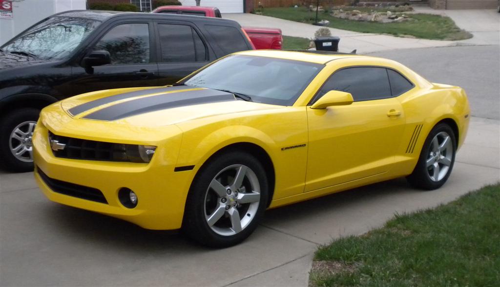 Name:  DSCN1481crop (Large).JPG
Views: 3143
Size:  70.3 KB