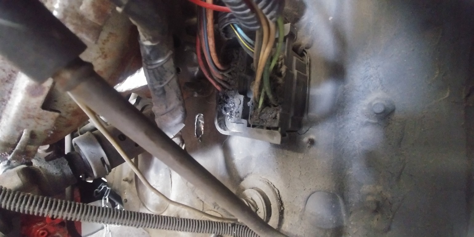 Name:  20230728_133036.jpg
Views: 528
Size:  242.3 KB