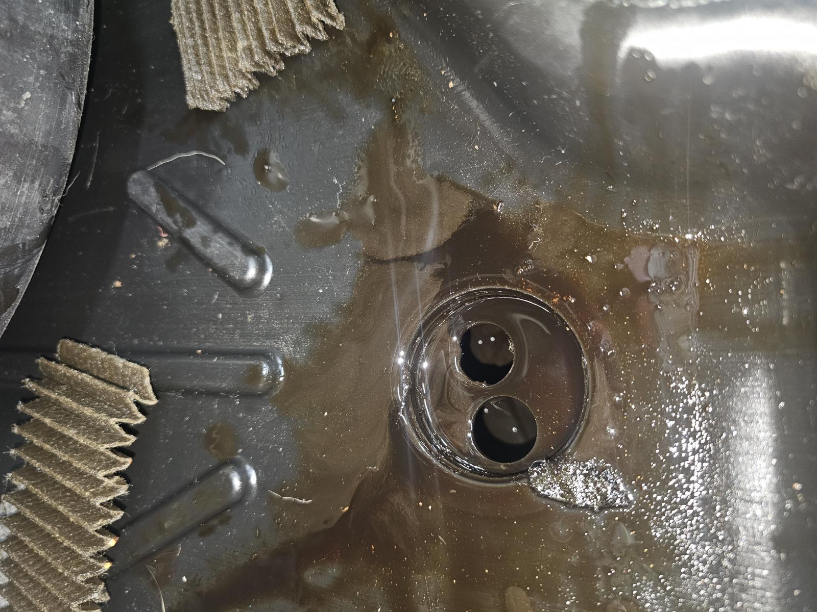 Name:  20231030_154409.jpg
Views: 497
Size:  296.9 KB