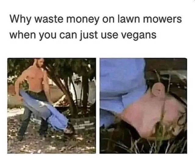 Name:  vegan lawn mower.jpg
Views: 446
Size:  43.9 KB