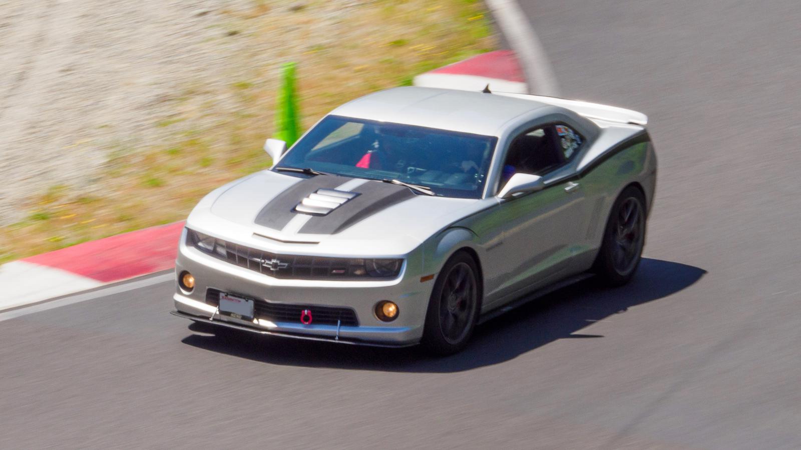 Name:  100406175-Locsin-20240711-_OL20577-SmugMug_Crop_no_licence.jpg
Views: 369
Size:  128.9 KB