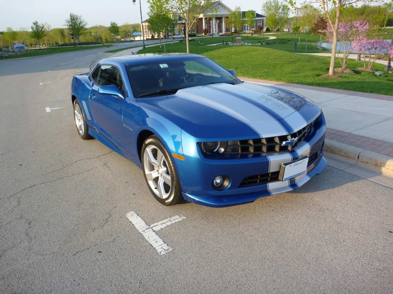 Name:  P1000919.JPG
Views: 3509
Size:  169.4 KB