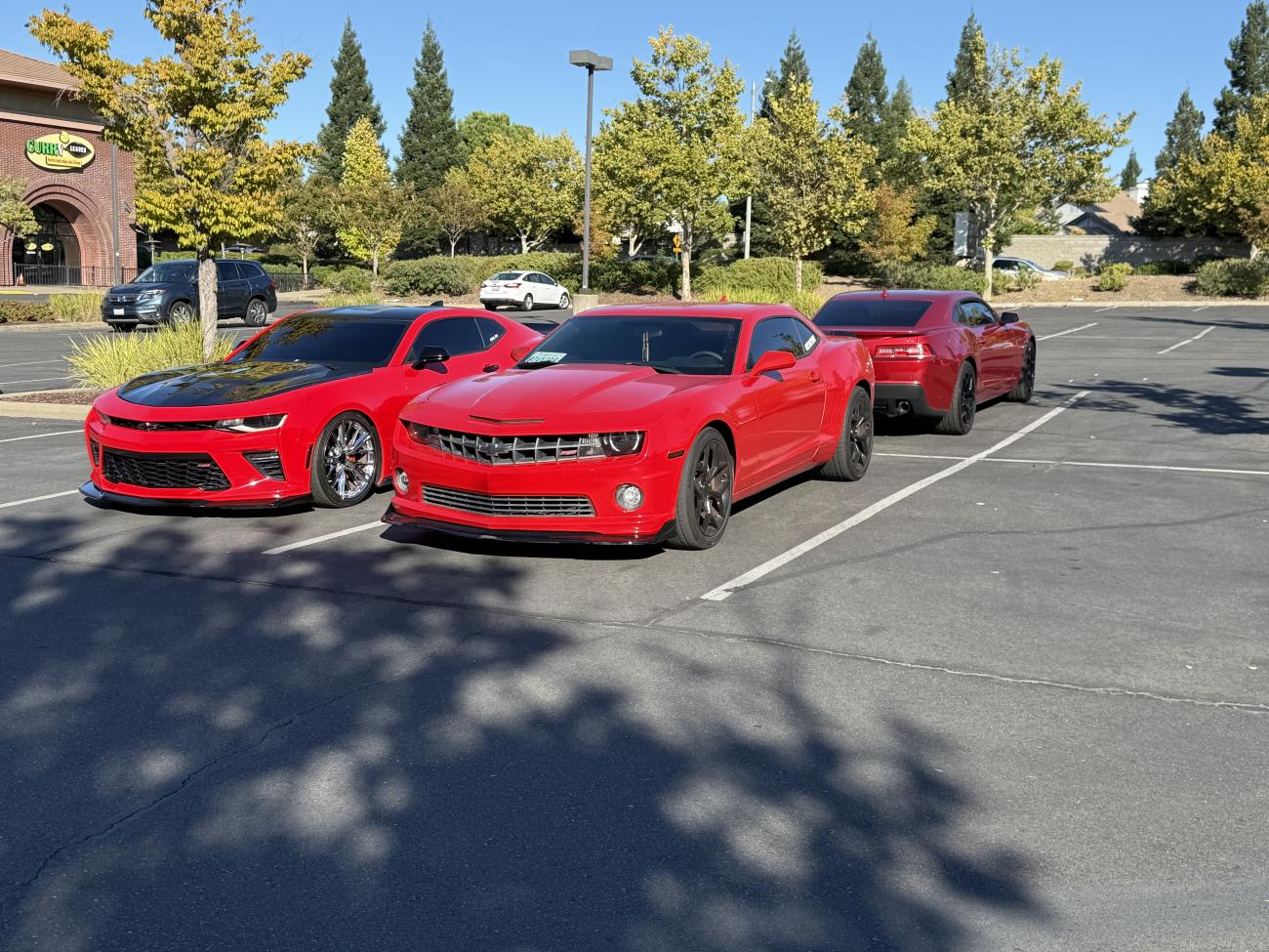 Name:  IMG_4467.jpg
Views: 174
Size:  258.0 KB