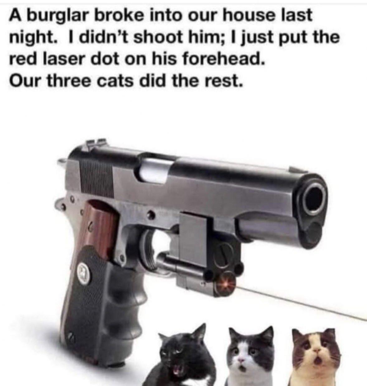 Name:  IMG_0636.jpg
Views: 97
Size:  96.3 KB