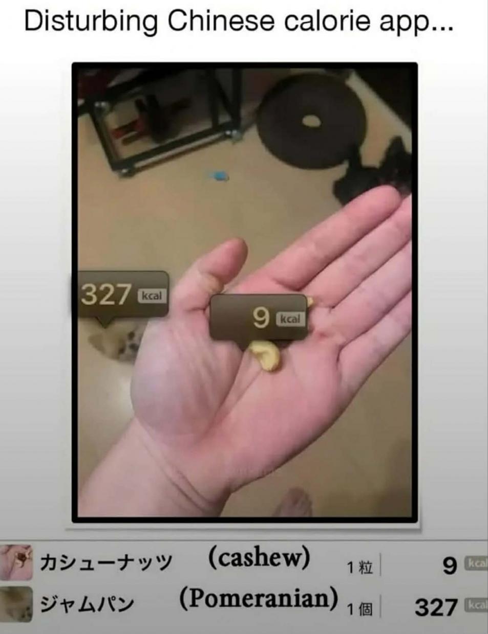 Name:  att.cVBASYMhq8mOsJeVaibcv_ZzU9ePp249C0Sce0yCwSY.jpg
Views: 95
Size:  76.3 KB