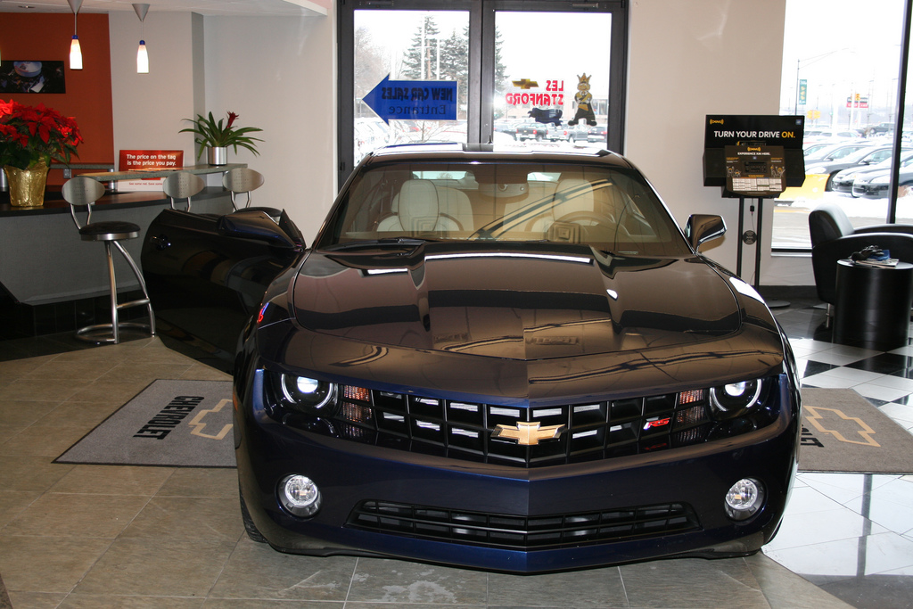 Name:  cyn3.jpg
Views: 20029
Size:  341.8 KB