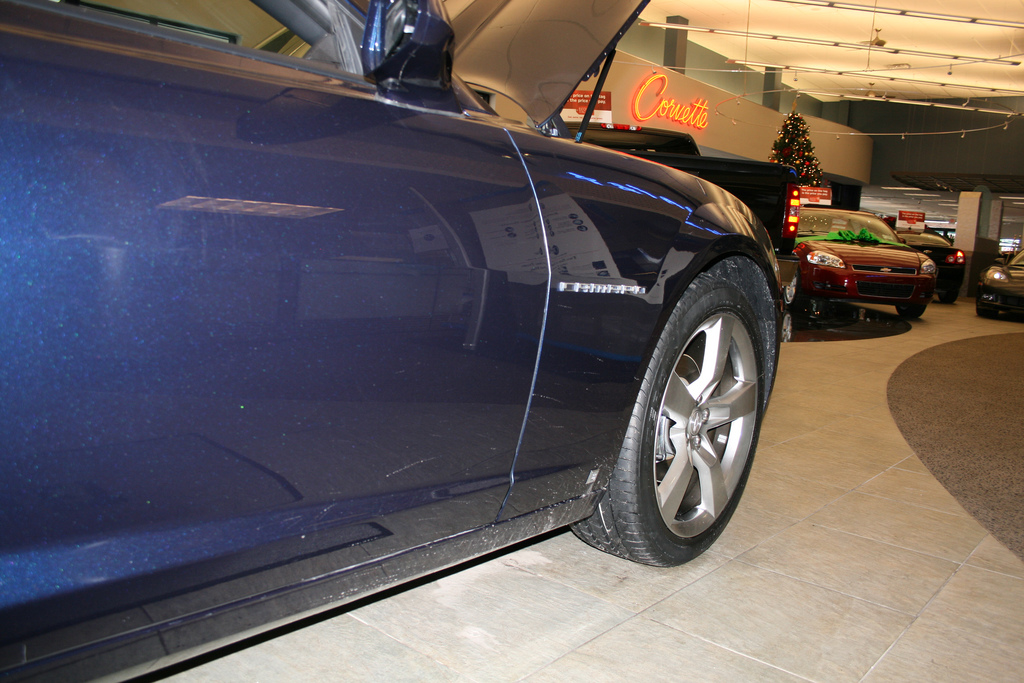 Name:  cyn4.jpg
Views: 110001
Size:  355.4 KB