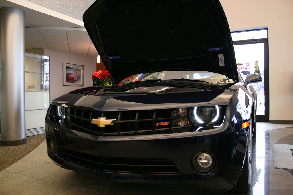 Name:  cyn8.jpg
Views: 102588
Size:  286.9 KB