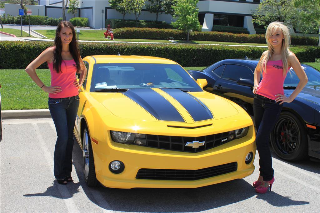 Name:  IMG_3704 (Custom).JPG
Views: 4246
Size:  149.9 KB